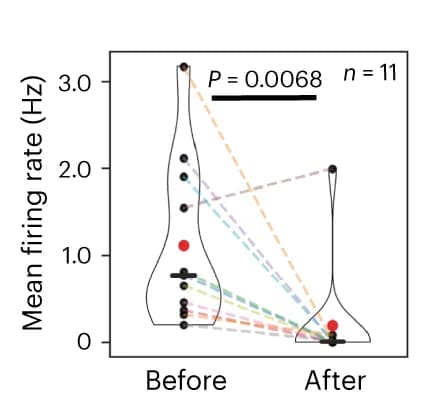 Open access visualization of Violin Plot, Scatter Plot, Line Plot, Firing Rate, Neuron
