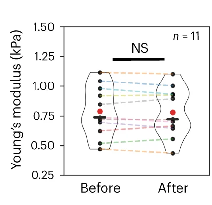 Open access visualization of Violin Plot, Scatter Plot, Line Plot, Young's Modulus, Neuron