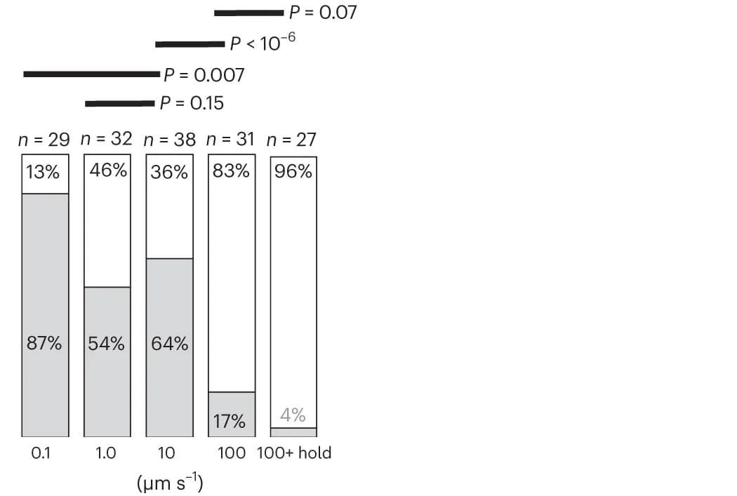 Open access visualization of Stacked Bar Plot, Bar Plots, Cortical Neurons, Mechanical Stimuli, AFM