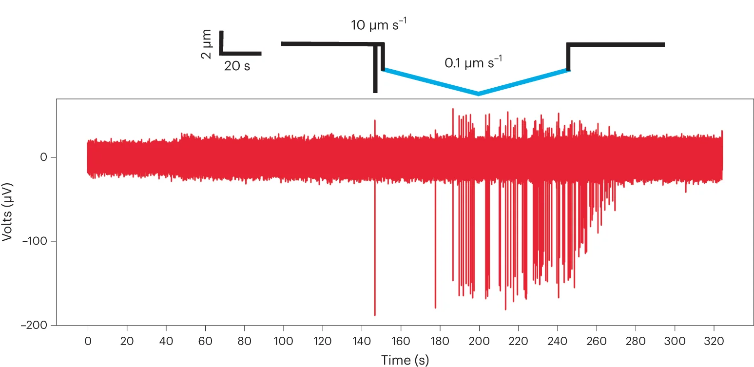 Open access visualization of Line Plot, Line Step, Neuronal Responses, Indentation Speed, Extracellular Potentials