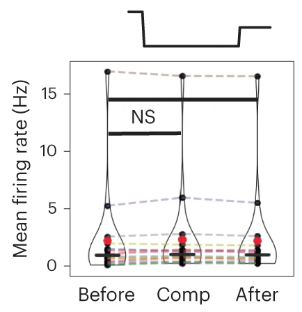 Open access visualization of Violin Plot, Line Plot, Scatter Plot, Mean Firing Rate, Neurons