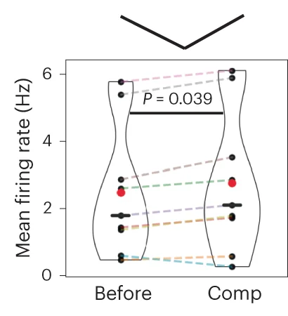Open access visualization of Violin Plot, Scatter Plot, Line Plot, Mean Firing Rate, Neurons