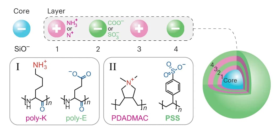 Open access visualization of Illustration, Chemical Structure, Silica Particle, Polypeptides, Polyelectrolytes