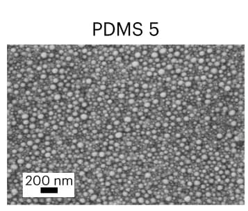 Open access visualization of Microscopy, SEM Images, Gallium, PDMS 5