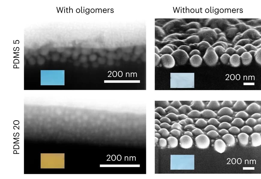 Open access visualization of Microscopy, Cross-section SEM Images, PDMS, Oligomers, Fabricated Sample
