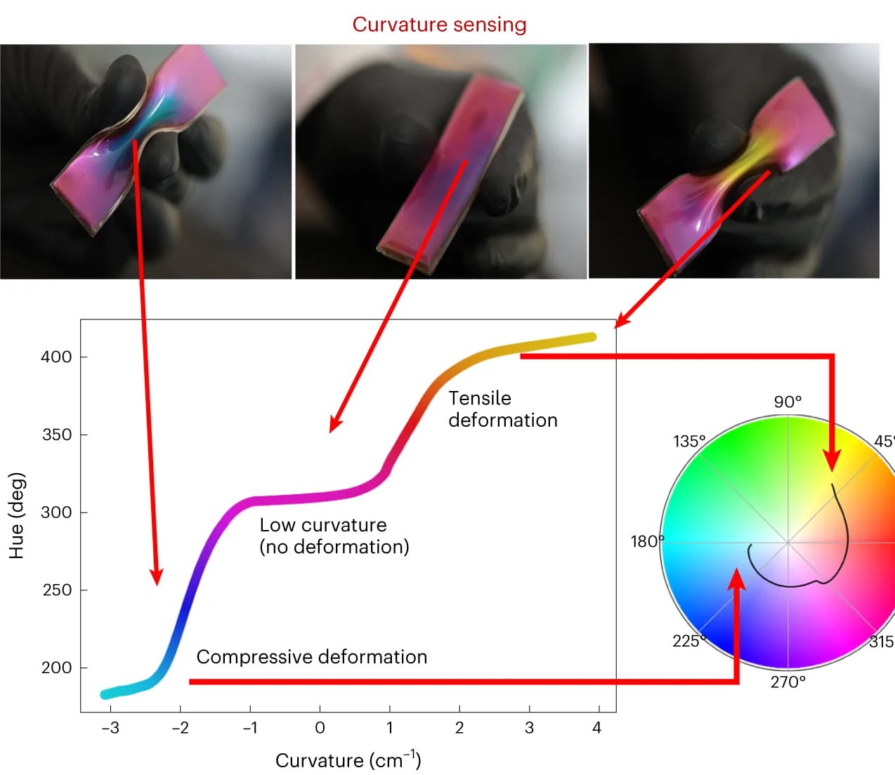 Open access visualization of Line Plot, Photo, Radar Chart, Curvature Sensing, Hue