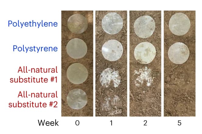 Open access visualization of Photo, Biodegradability Tests, Plastic Films, Polypropylene, All-Natural Substitutes