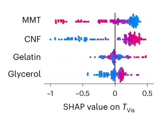 Open access visualization of Scatter Plot, SHAP Values, MMT, CNF, Gelatin