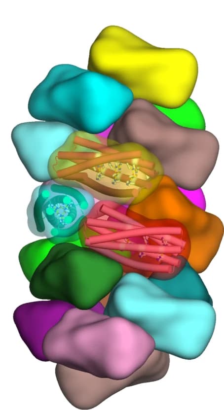 Open access visualization of 3D Plot, Protein Structure, Chemical Structure, Fibre Subunits, Sequence Design