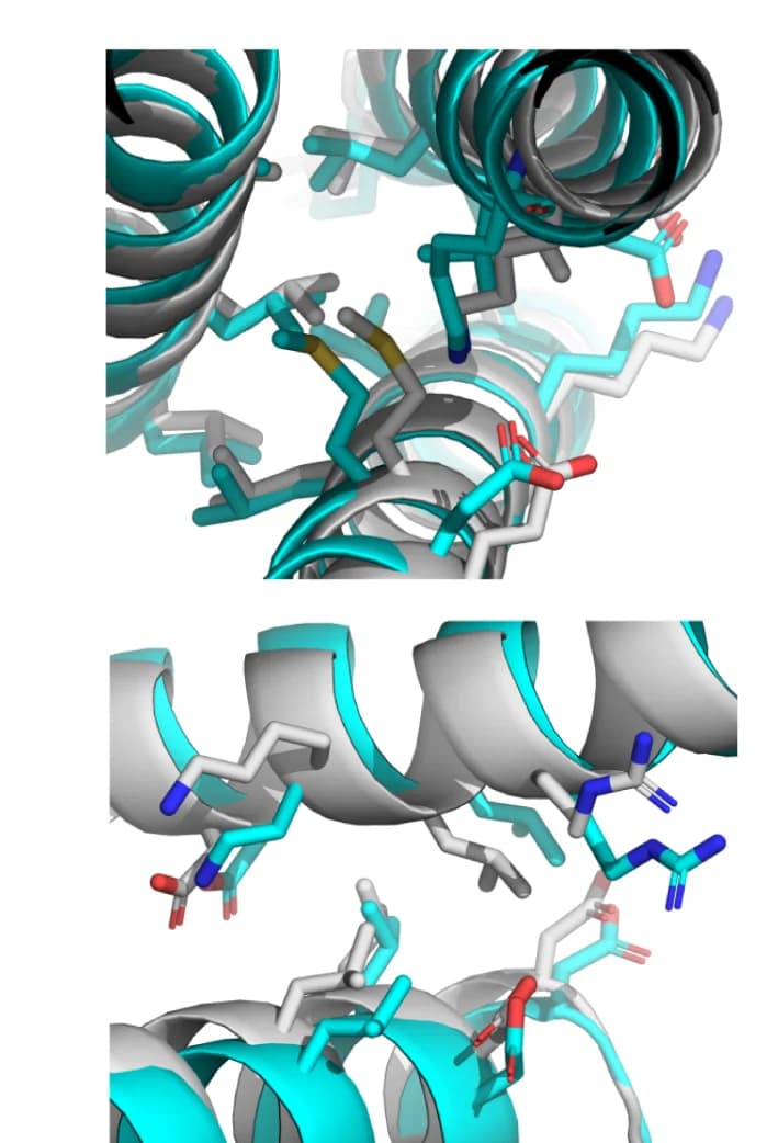Open access visualization of Protein Structure, 3D Plot, Helical Architecture, C-alpha r.m.s.d., Interface Residues