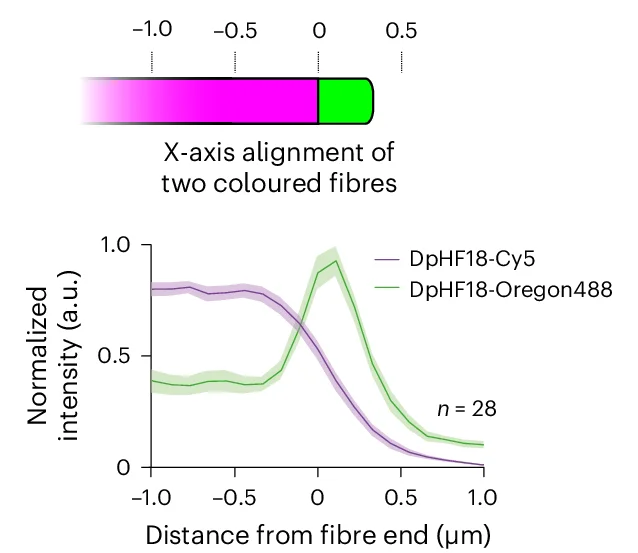 Open access visualization of Line Plot, Error Bars, Cy5, Oregon488, Fluorescence Intensity