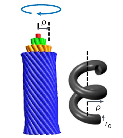 Open access visualization of Illustration, SWCNT Rope, Morphology, Schematic