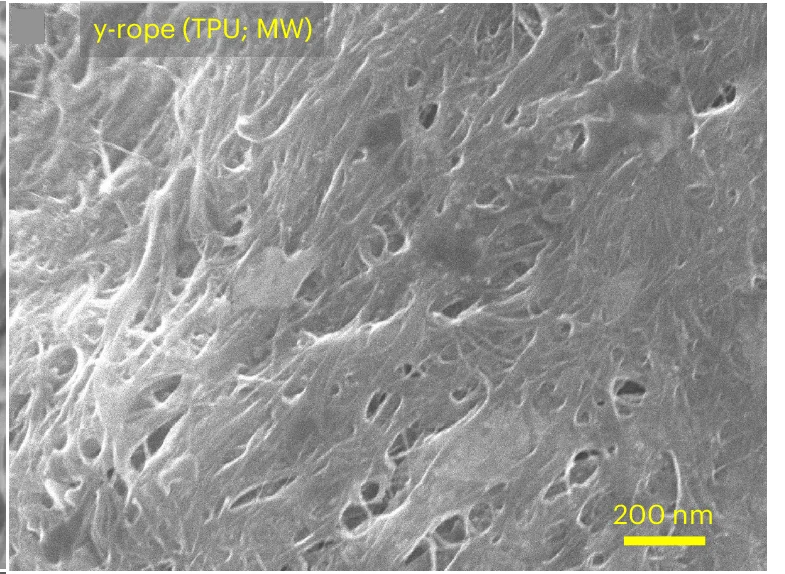 Open access visualization of Microscopy, SEM Micrographs, Y-Ropes, TPU Deposition, Microwave Irradiation