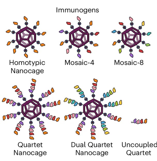 Open access visualization of Illustration, Chemical Structure, Antigens, Immunizations