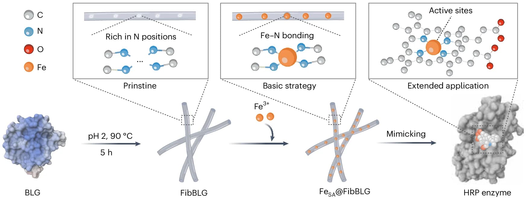 Open access visualization of Workflow, Illustration, Synthesis Process, Fe SA @FibBLG