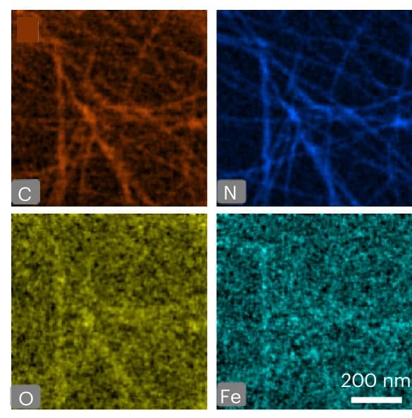 Open access visualization of Microscopy, EDS Mapping Images, Fe SA @FibBLG, Technical Replicates