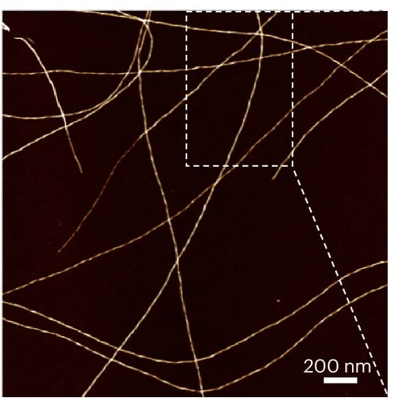 Open access visualization of Microscopy, AFM Images, Fe SA @FibBLG, Mica Surface, Technical Replicates