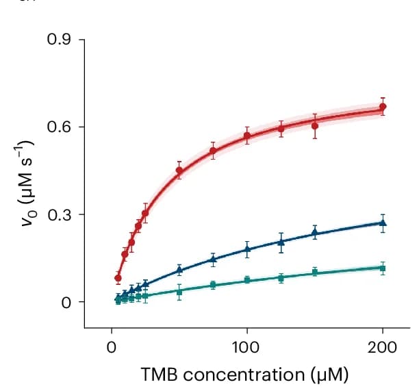Open access visualization of Line Plot, Error Bars, Specific Activities, Fe SA @FibBLG, Fe SA @BLG