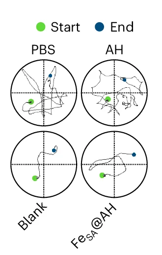 Open access visualization of Scatter Plot, Line Plot, Search Strategies, Mice, Treatment