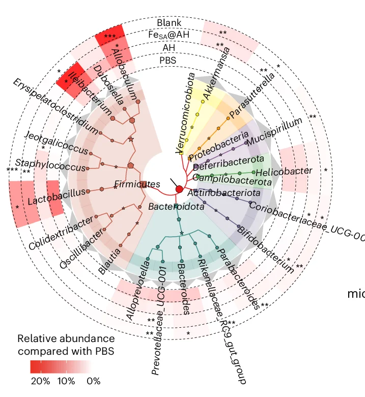 Open access visualization of Network, Heatmap, Taxonomic Tree, Phylogenetic Tree, Genera