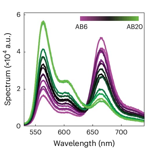 Open access visualization of Line Plot, Emission Spectra, FRET, DNA, Oligonucleotide