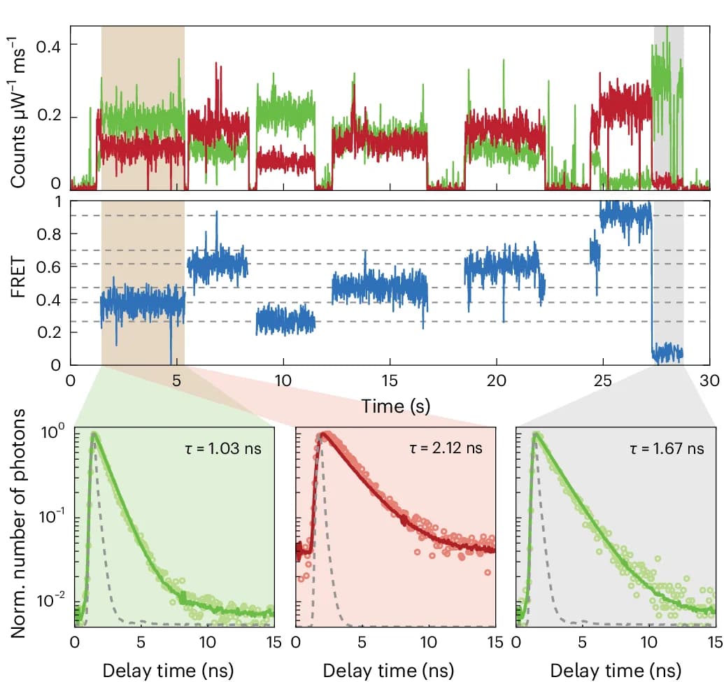 Open access visualization of Line Plot, Scatter Plot, Density Plot, ABEL Trap, FRET