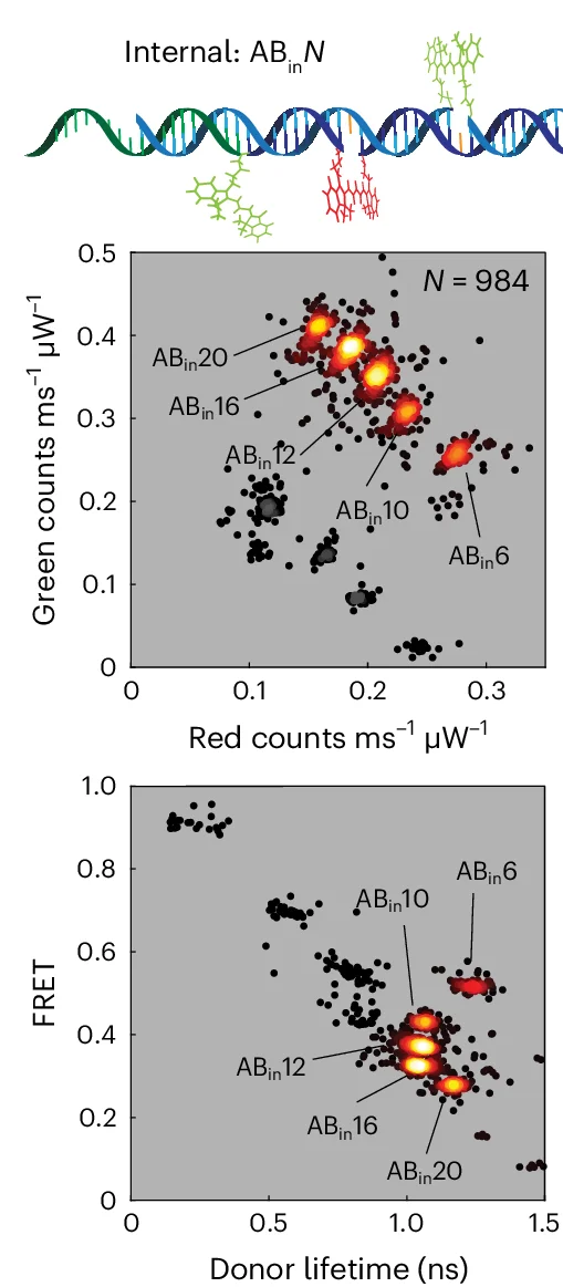 Open access visualization of Scatter Plot, Density Plot, AB in N Constructs, Clusters, AB N Constructs