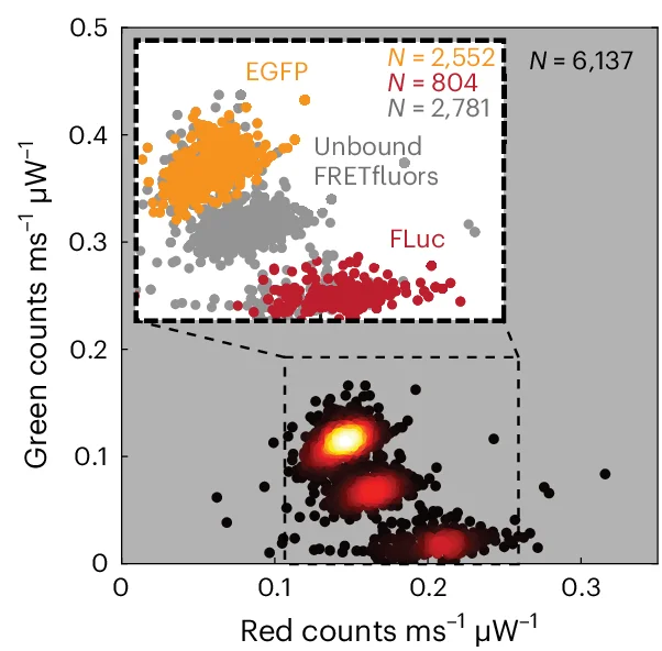 Open access visualization of Scatter Plot, Density Plot, EGFP, FLuc, FRETfluors