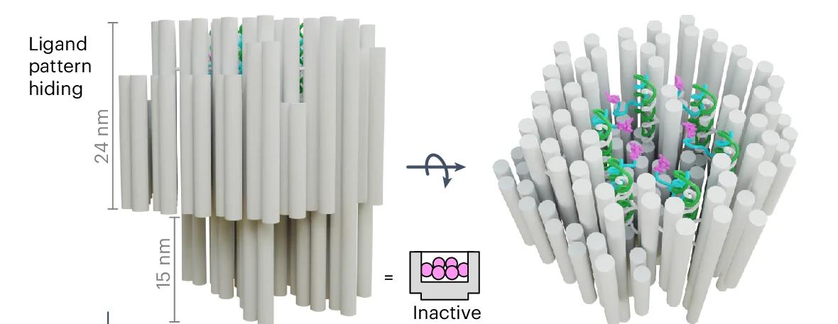 Open access visualization of 3D Plot, Chemical Structure, Three-Dimensional Origami, Head Part, Cavity