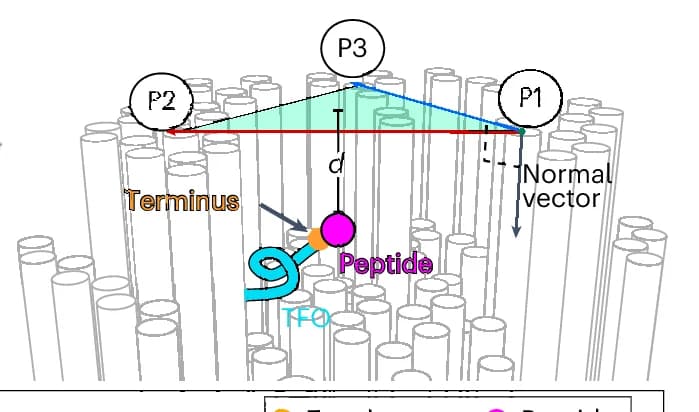 Open access visualization of Illustration, Schematic, TFO Terminus, Peptide, Origami Surface Plane