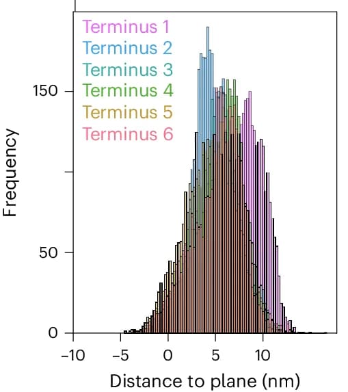 Open access visualization of Histogram, Distance Frequency Histograms, TFO Termini, Peptides, TFOs