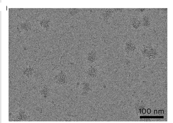 Open access visualization of Microscopy, Cryo-EM Micrograph, UV Cross-linked Origami, Origami Structure