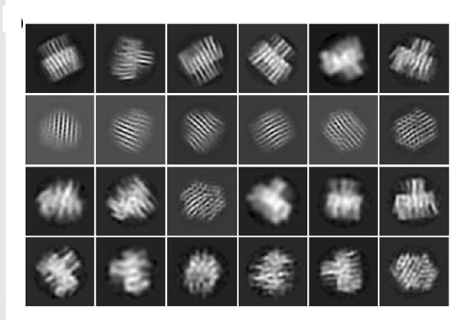 Open access visualization of Microscopy, 2D Class Averages, UV Cross-linked Origami, Origami Structure