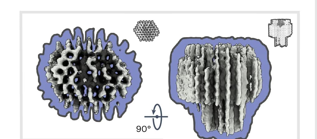 Open access visualization of 3D Plot, Protein Structure, Chemical Structure, Cryo-EM Density Map