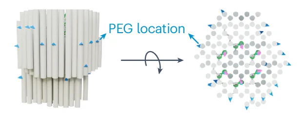 Open access visualization of 3D Plot, Protrusion Sites, Origami, PEGylation
