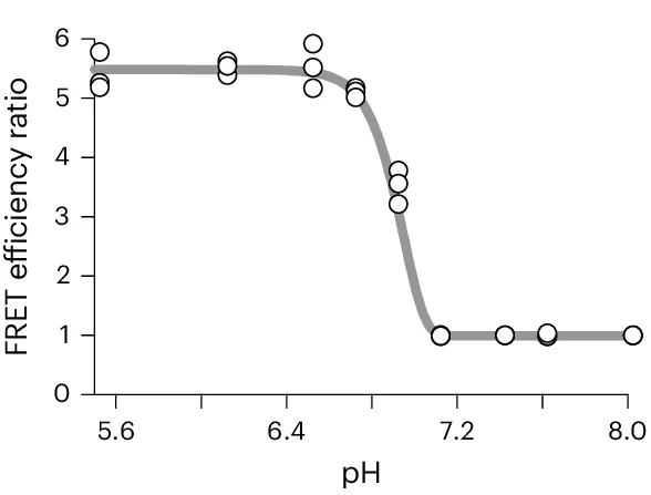 Open access visualization of Line Plot, Scatter Plot, FRET, pH, Buffer