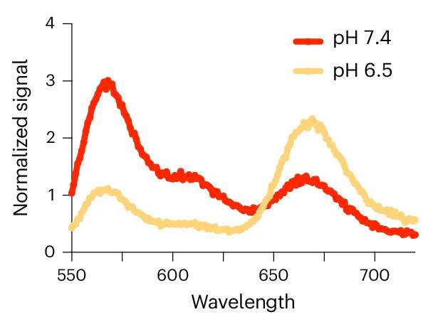 Open access visualization of Line Plot, Emission Spectrum, DNA Origami, pH, Excitation