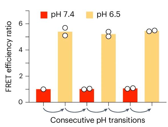 Open access visualization of Bar Plot, Clustered, FRET, pH, Buffer