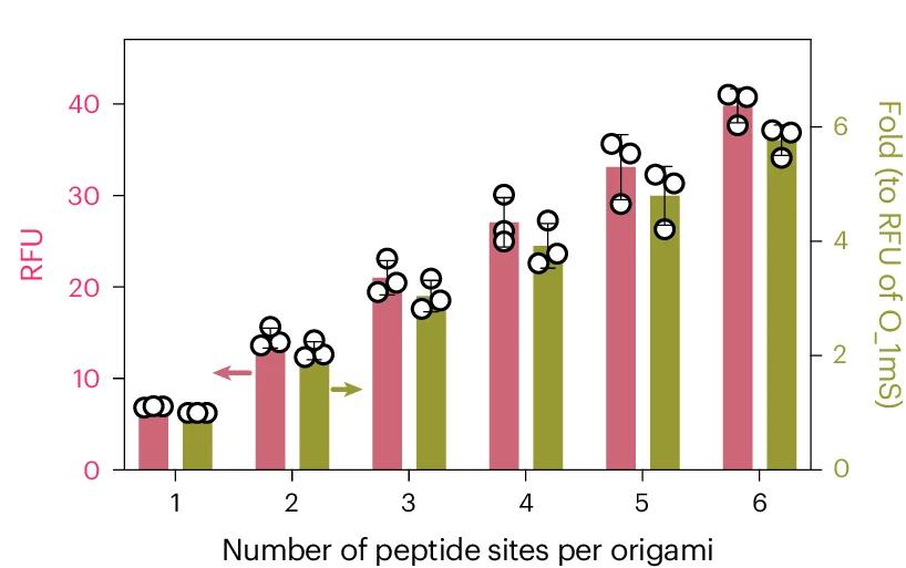 Open access visualization of Clustered, Error Bars, Peptide Quantification, DNA Origami, Mini-scaffold