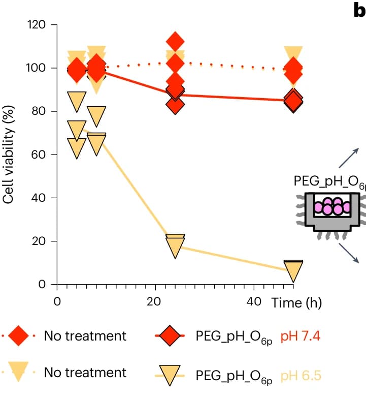 Open access visualization of Line Plot, Scatter Plot, Cell Viability Assay, SK-BR-3 Cancer Cells, PEG_pH_O 6p Origami