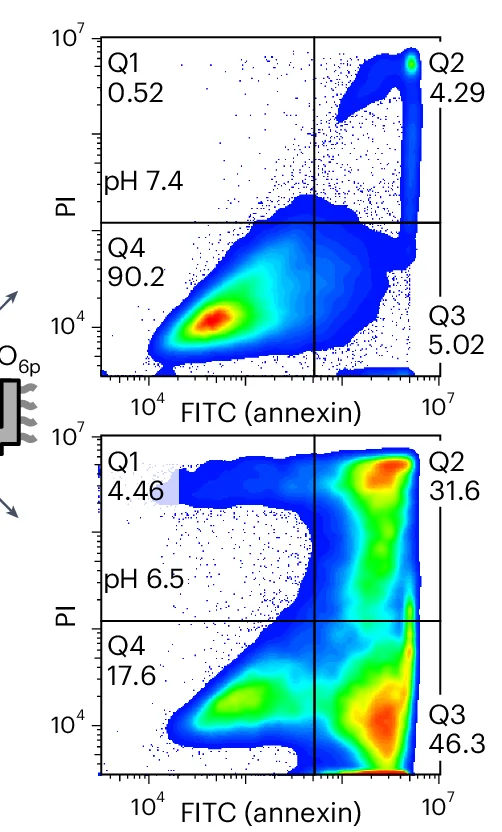 Open access visualization of Scatter Plot, Cancer Cell Apoptosis Assay, DNA Origami, pH 7.4, pH 6.5