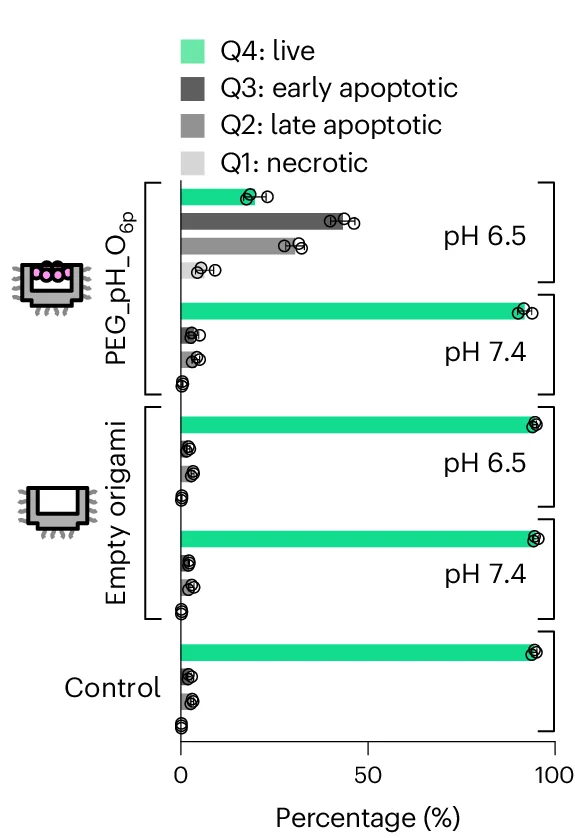 Open access visualization of Bar Plot, Cancer Cell Apoptosis Assay, DNA Origami, pH 7.4, pH 6.5