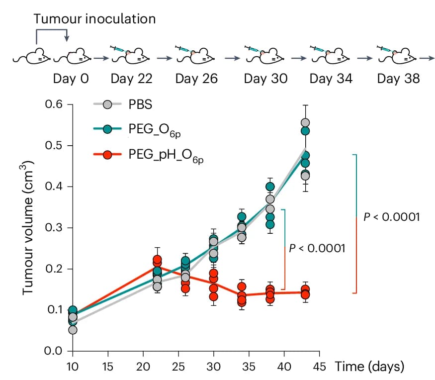 Open access visualization of Line Plot, Scatter Plot, Error Bars, Treatment Schedule, Tumor Growth Curves