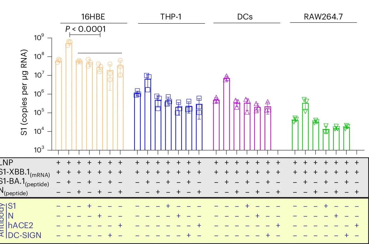 Open access visualization of Bar Plot, Error Bars, mRNA Copies, qRT-PCR, Antibodies