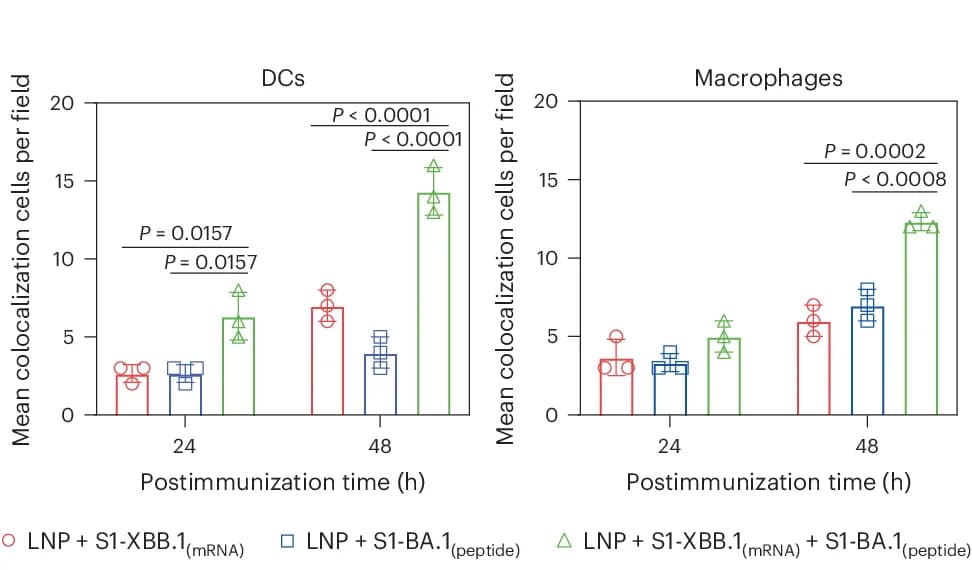 Open access visualization of Bar Plot, Error Bars, S1 Expression, DCs/Macrophages, Muscles