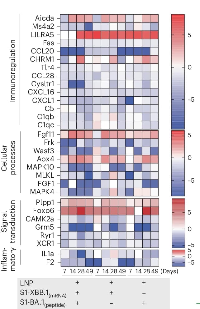 Open access visualization of Heatmap, Gene Expression Profiles, Immunoregulation, Cellular Processes, Signal Transduction