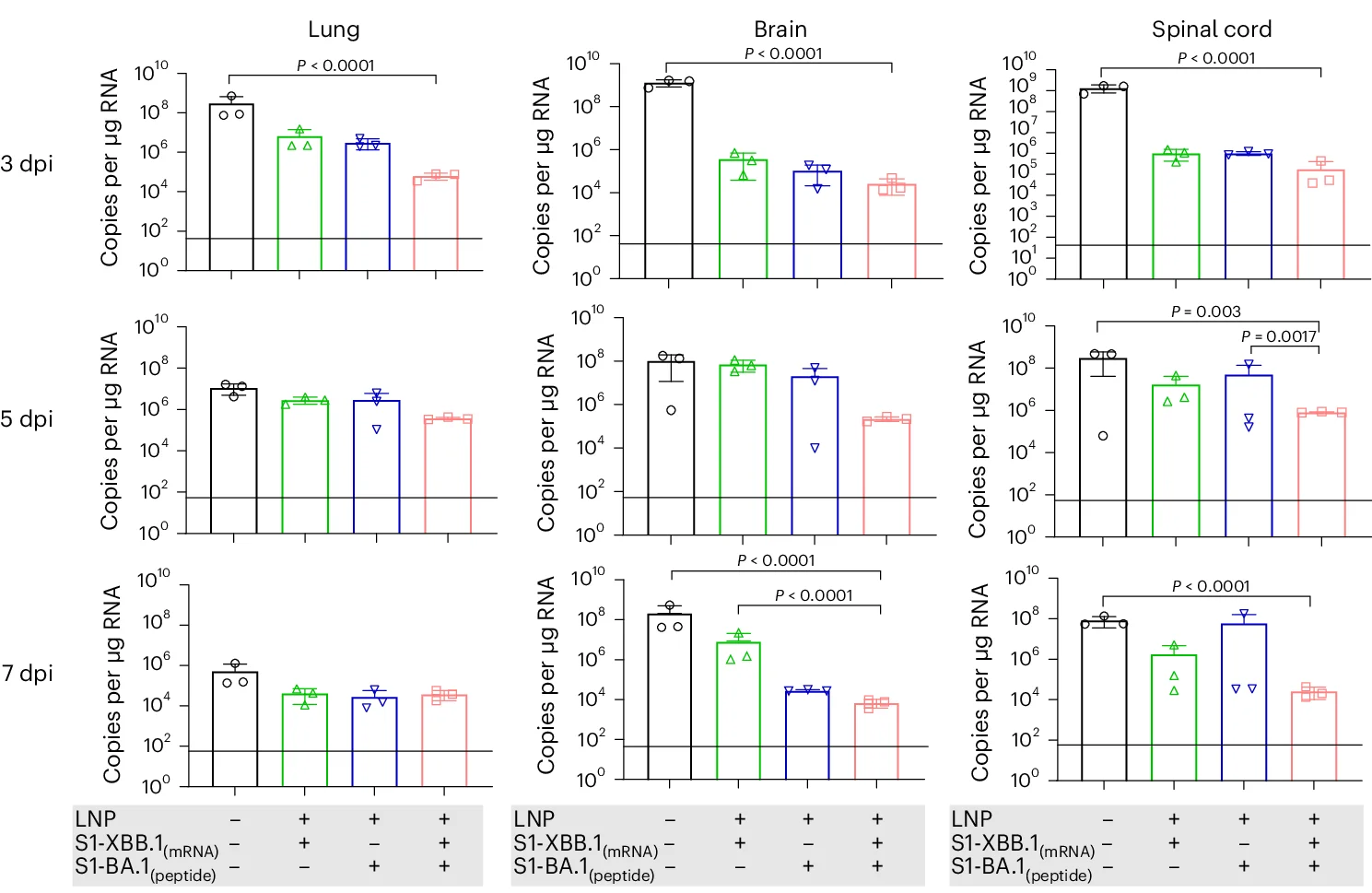 Open access visualization of Bar Plot, Error Bars, Viral Load, Lung, Brain