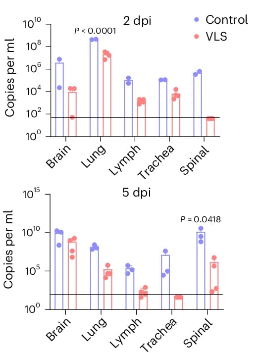 Open access visualization of Bar Plot, Clustered, Scatter Plot, Viral Load, Brain