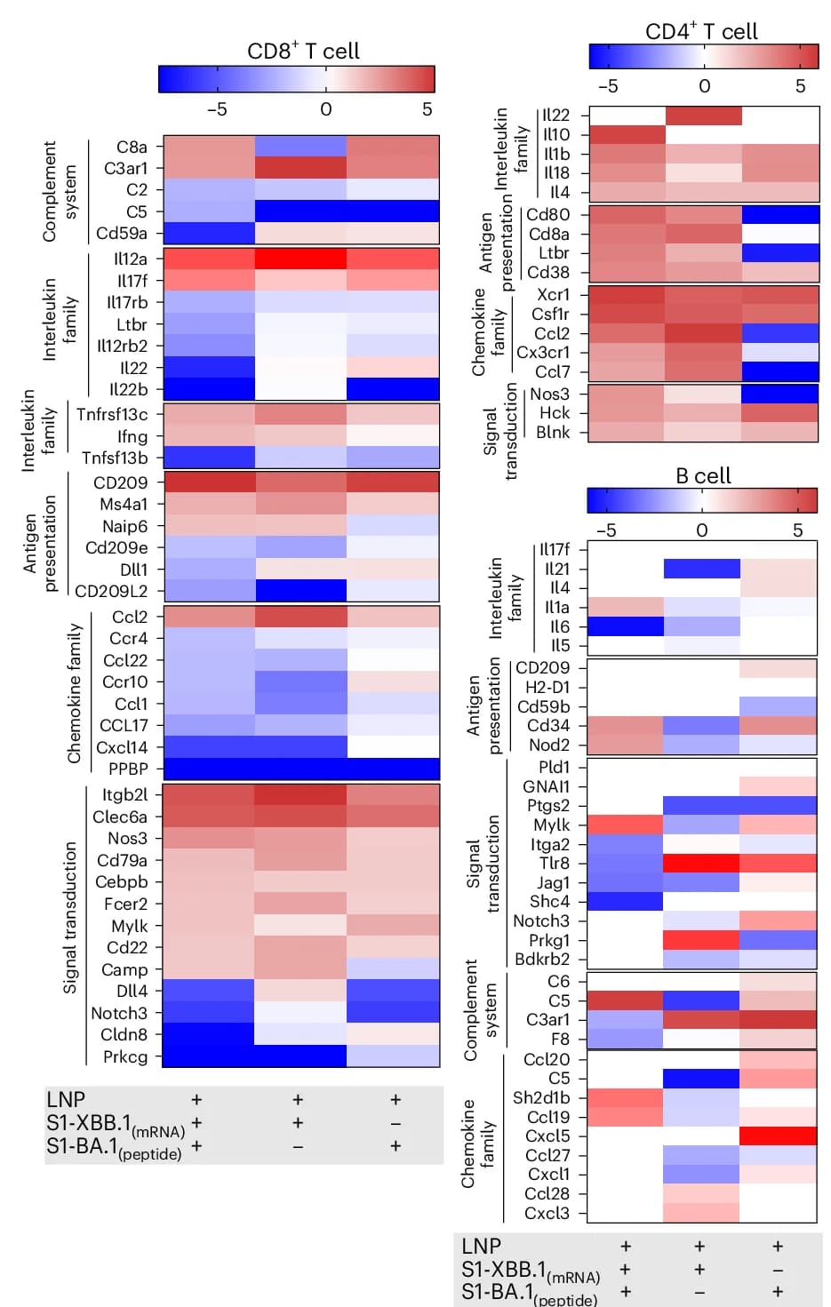 Open access visualization of Heatmap, Differentially Expressed Genes, CD8 + T Cells, CD4 + T Cells, B Cells