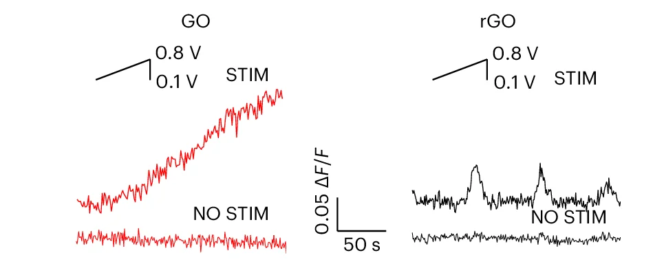 Open access visualization of Line Plot, Ca 2+ Imaging, Brain Slices, GO Devices, rGO Devices